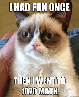 Grumpy cat