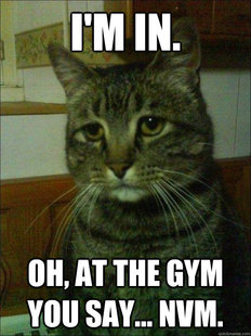 Depressed cat