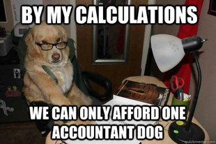 Financial Advice Dog