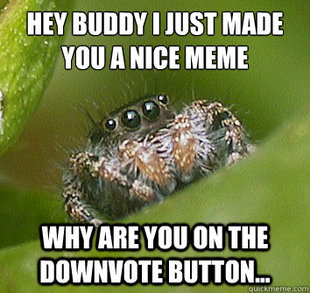 Misunderstood Spider