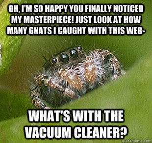 Misunderstood Spider