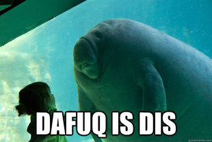 Overlord Manatee