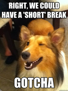 implying dog