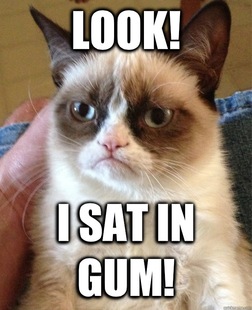Grumpy cat