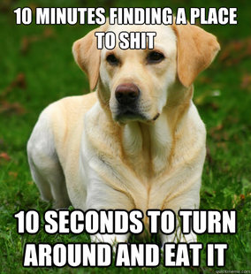 Dog Logic