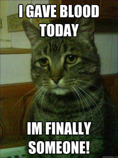 Depressed cat