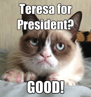 Grumpy cat