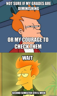 Enlightened Fry