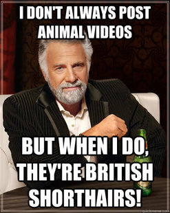 The Most Interesting Man In The World