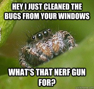 Misunderstood Spider