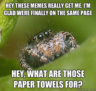 Misunderstood Spider