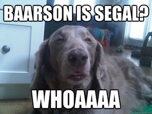 10 Dog