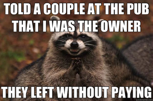 Evil Plotting Raccoon