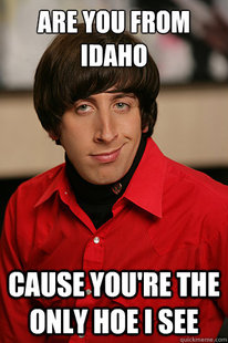 Howard Wolowitz