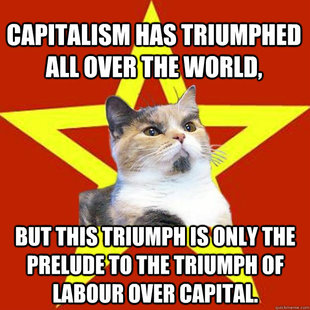 Lenin Cat