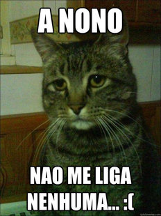 Depressed cat