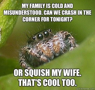 Misunderstood Spider