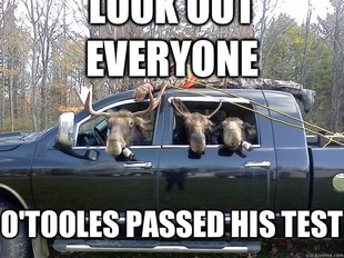 GET IN THE CAR