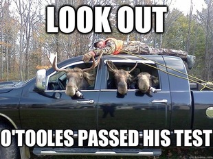 GET IN THE CAR
