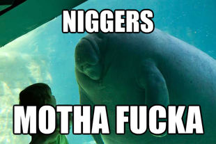 Overlord Manatee
