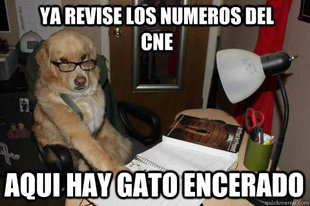 Financial Advice Dog