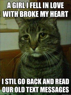 Depressed cat