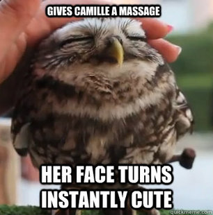 cute owl
