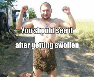 skeeter on my peter