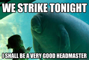 Overlord Manatee