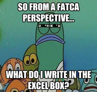 Serious fish SpongeBob
