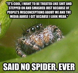 Misunderstood Spider