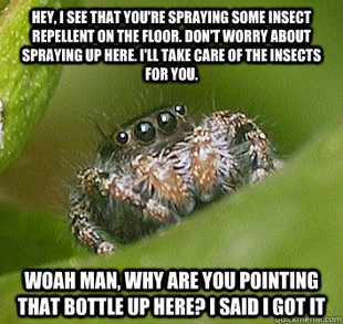 Misunderstood Spider