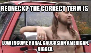 Almost Politically Correct Redneck