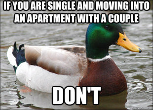 Actual Advice Mallard
