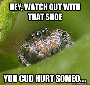 Misunderstood Spider