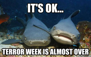 Compassionate Shark Friend