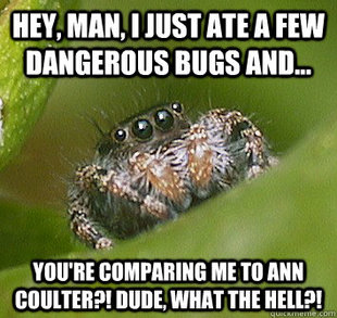 Misunderstood Spider