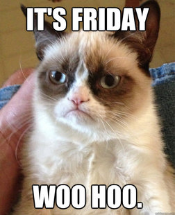 Grumpy cat