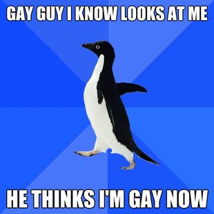 Socially Awkward Penguin