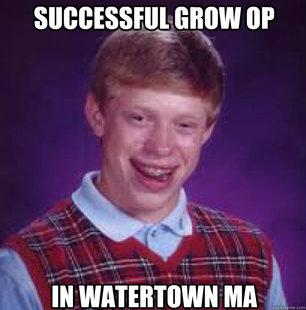 Bad News Brian