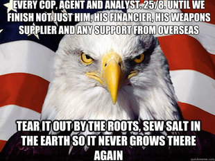 Patriotic Eagle