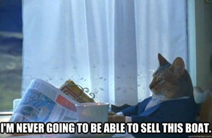 Sophisticated Cat