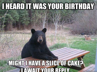 Bear of Bad News