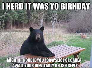 Bear of Bad News