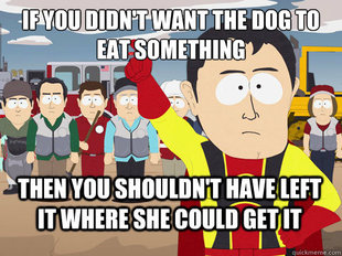 Captain Hindsight