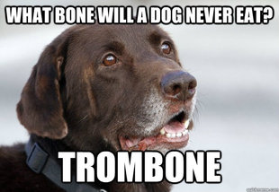 Bad Joke Dog