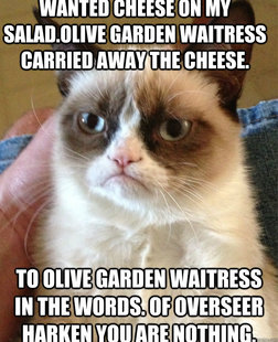 Grumpy cat