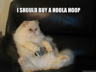 Disapproving TV Cat