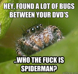 Misunderstood Spider