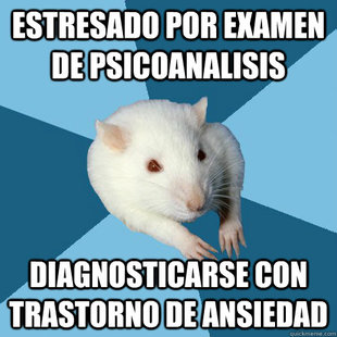 Psychology Major Rat